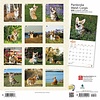 Welsh Corgi Pembroke Kalender 2020