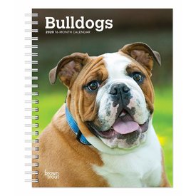 Browntrout Engelse Bulldog Agenda 2020