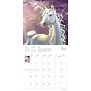 Einhorn - Unicorns 2020 Kalender
