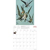 The Wonderful Wizard of Oz Kalender 2020