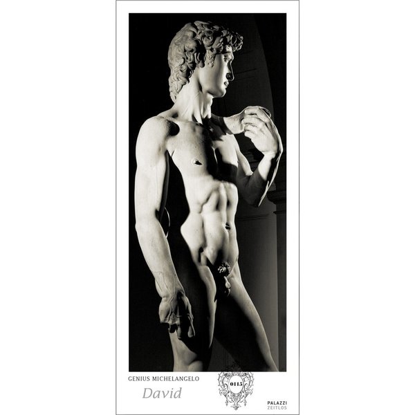 Palazzi Genius Michelangelo: David By Aurelio Amendola Tijdloze Posterkalender