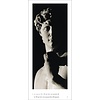 Genius Michelangelo: David By Aurelio Amendola Tijdloze Posterkalender