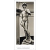 Genius Michelangelo: David By Aurelio Amendola Tijdloze Posterkalender