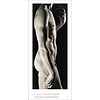 Genius Michelangelo: David By Aurelio Amendola Tijdloze Posterkalender