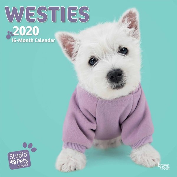 Studio Pets By Myrna West Highland White Terrier Studio Pets Kalender 2020