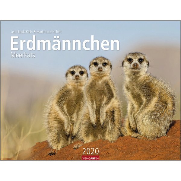 Weingarten Erdmännchen Kalender 2020