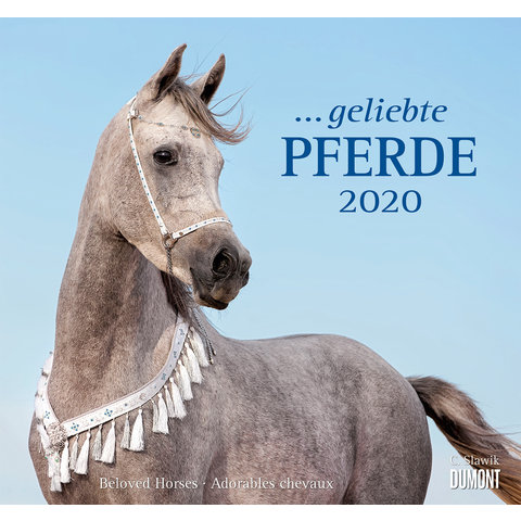 Paarden - Beloved Horses Kalender 2020