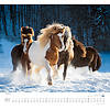 Paarden - Beloved Horses Kalender 2020
