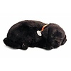 Perfect Petzzz Zwarte Labrador Retriever Puppy