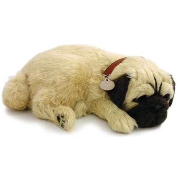 CD3 Perfect Petzzz Pug Mopshond Puppy