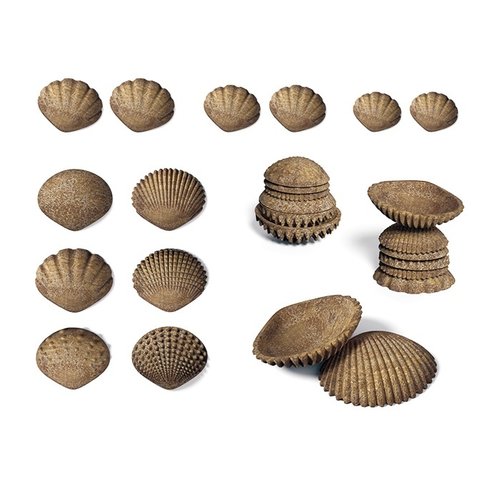 EDX Education  Tactile Shells- 36pcs / 108pcs