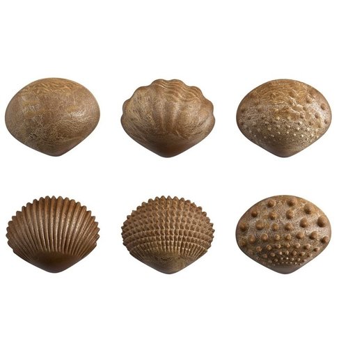 EDX Education  Tactile Shells- 36pcs / 108pcs