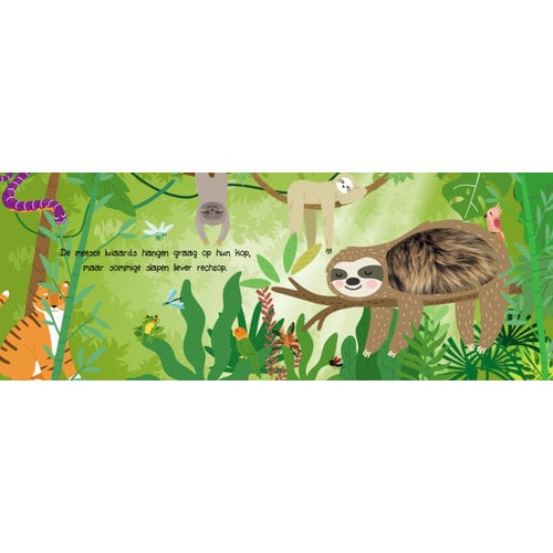 Kijk en Voel Boekje Jungledieren