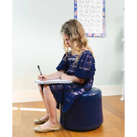 Bouncy Band Wobble Seat