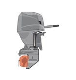 Propellorhoes oranje