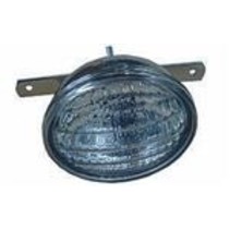 RVS Zalinglicht met vaste lamp