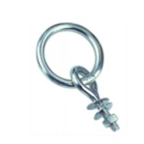 Oogbout met ring RVS / AISI316  M10x100mm