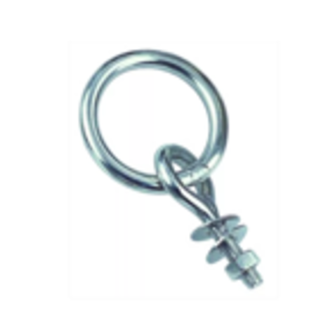 Oogbout met ring RVS / AISI316  M10x100mm