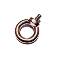 Oogbout RVS met schroefdraad