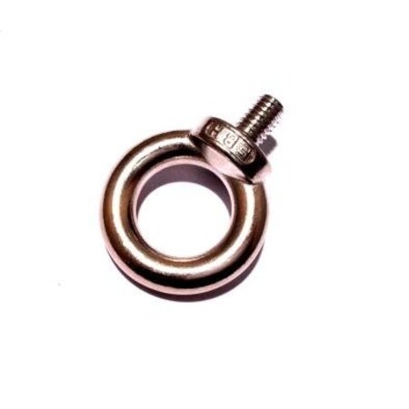 RVS Oogbout met schroefdraad