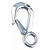 RVS Trailerhaak met oog