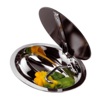 allpa RVS Spoelbak, ovaal, met rookglazen deksel