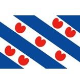 Vlag provincie Friesland