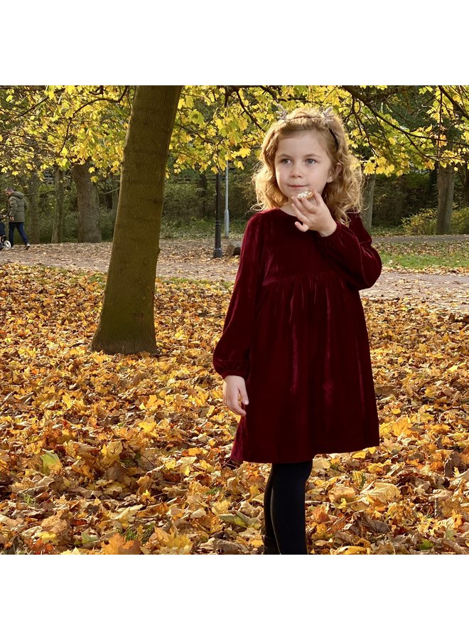 Jaba Kids Ruby Velvet Dress