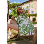 One Hundred Stars Canvas Bag in Giant Willow Green