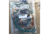 GASKET KIT 250 2T ES MY 2019
