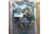 GASKET KIT 300 2T ES MY 2019