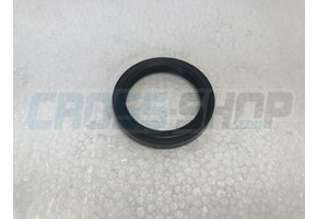 OIL SEAL TRANSMITION 250