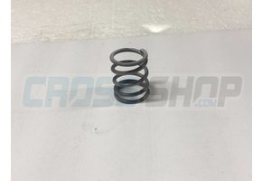 SPRING 250 cc