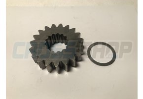 PIGNONE C.PRIM. IA.250 Z19 SC.