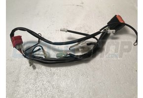 WIRE. EXHA.VALVE T.S.250 MX/EN