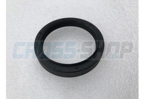 FORK OIL SEAL, PAIOLI D.48mm
