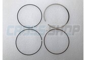 RINGS KIT D. 77mm NPR