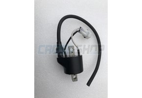 COIL, INGNITION KOK IG5132