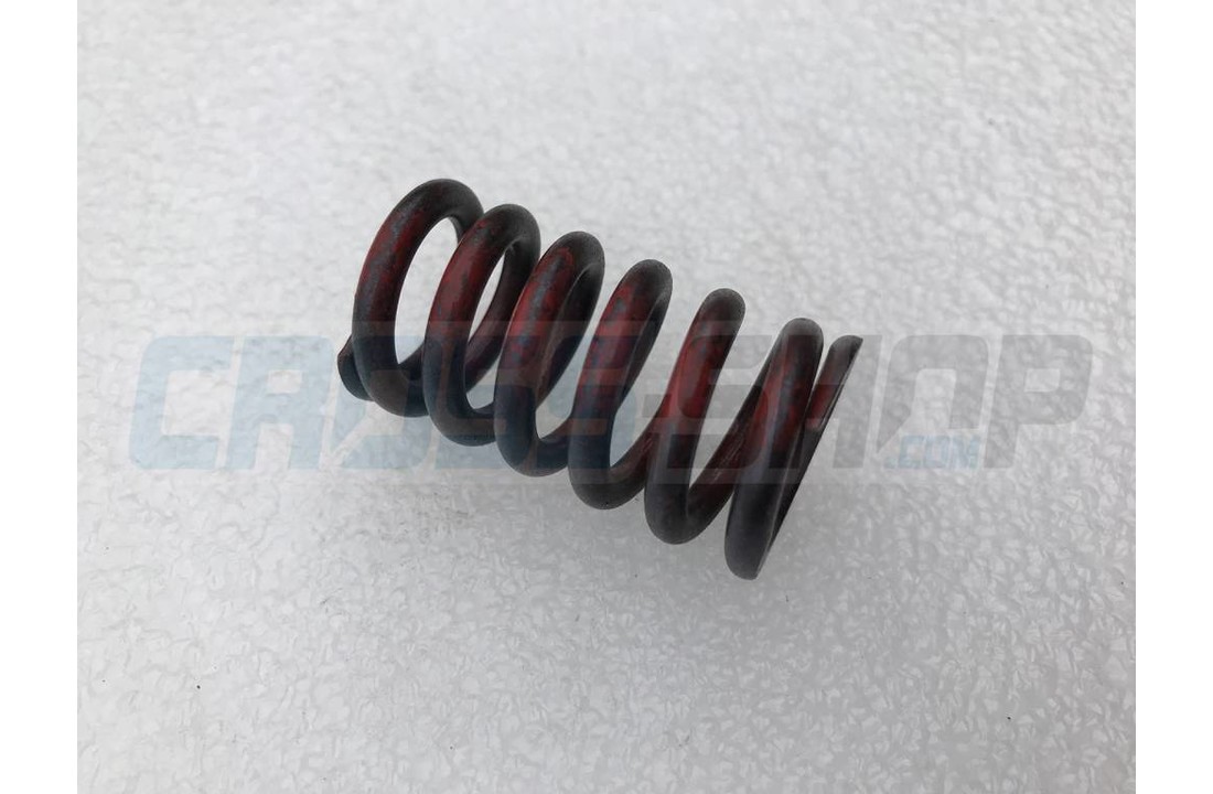 SPRING, VALVE D22 L39,4 F3,5