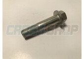 BOLT TE F/R 10X43 1.25 T.10