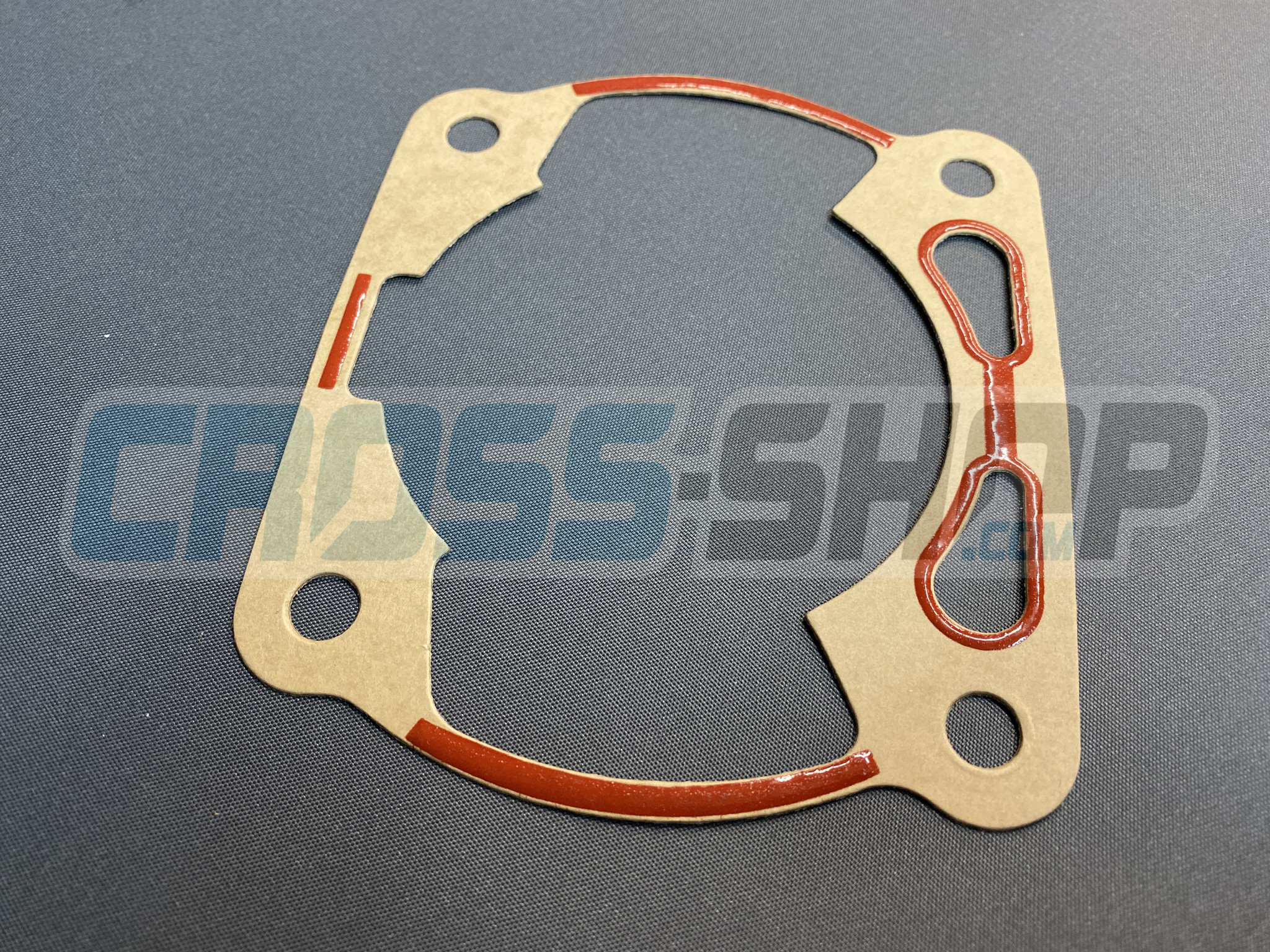 GASKET, CYL 300 M.15 0,5