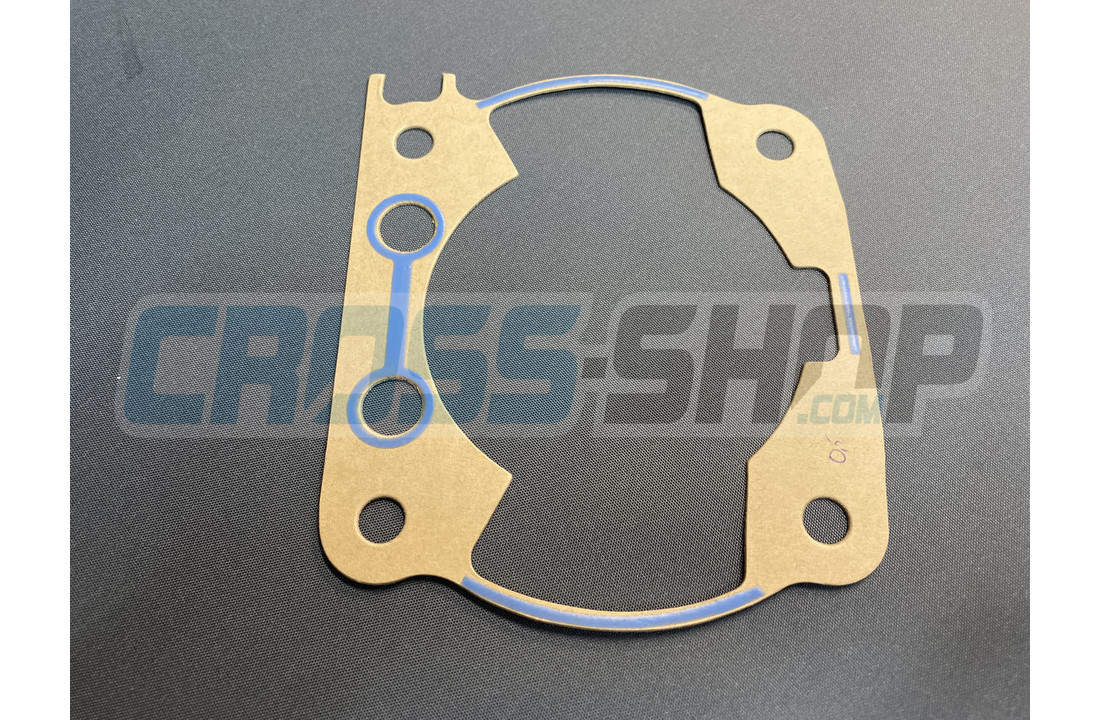 GASKET, CYL 300 M.2011 0,50
