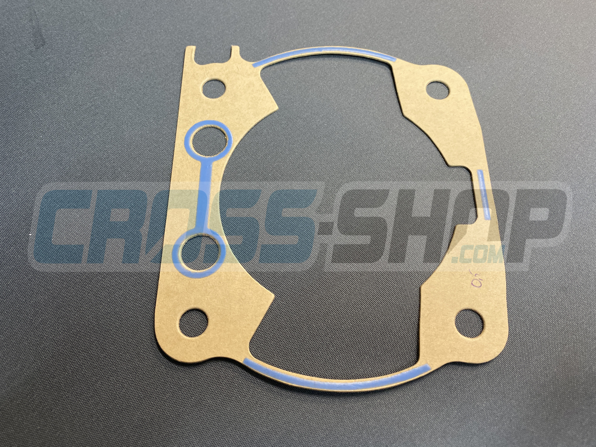 GASKET, CYL 300 M.2011    0,50