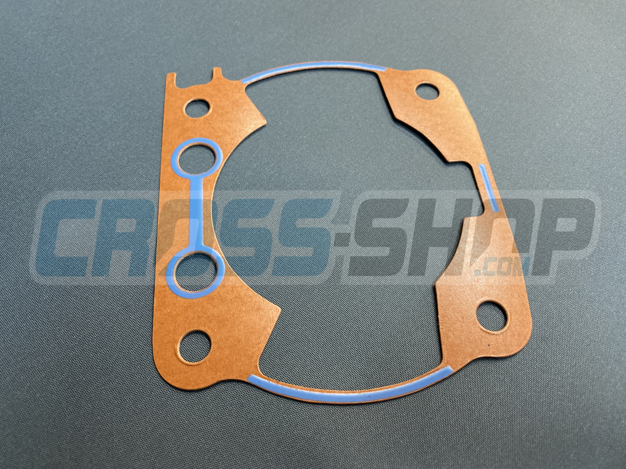 GASKET, CYL 300 M.2011    0,40