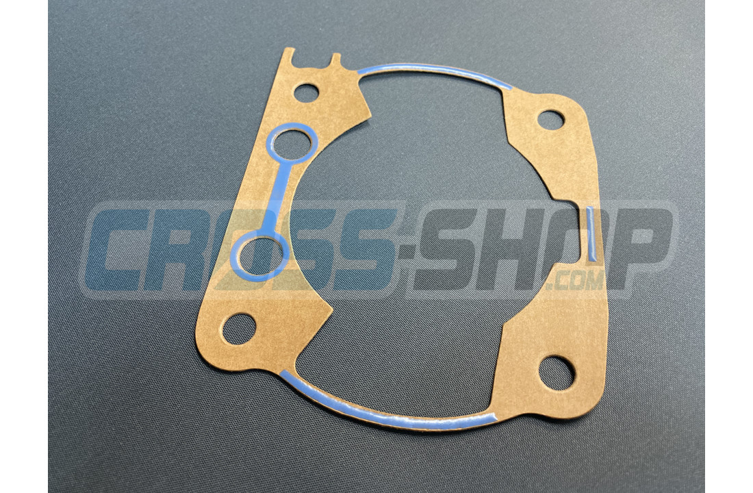 GASKET, CYL 300 M.2011 0,30