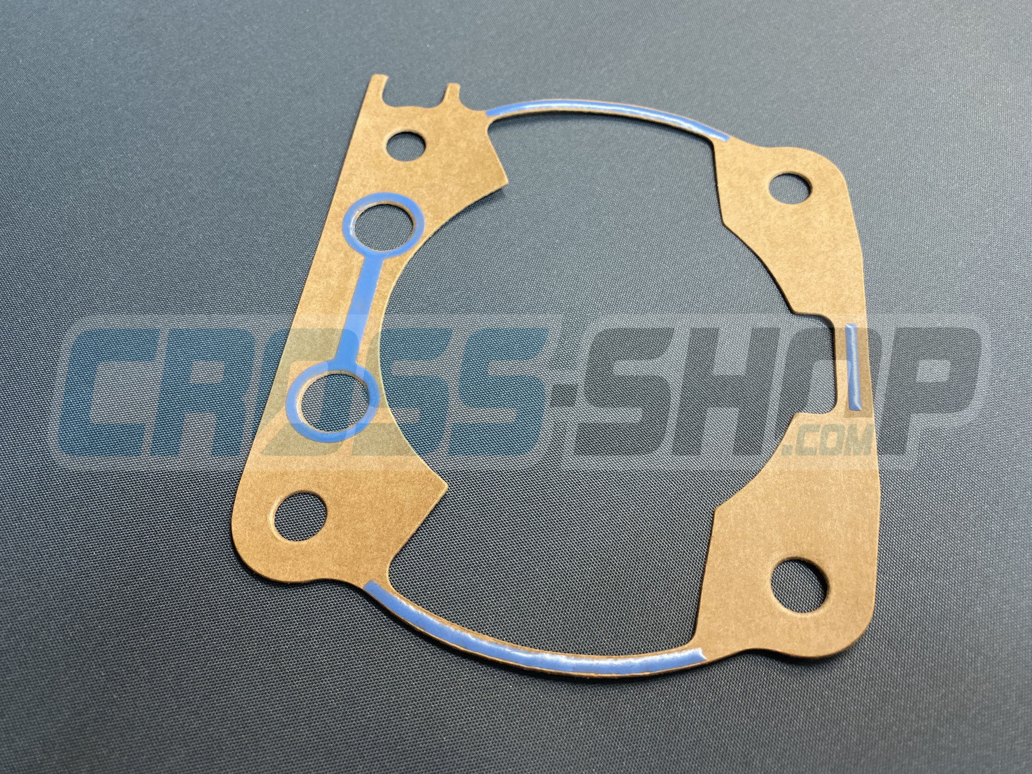GASKET, CYL 300 M.2011    0,30