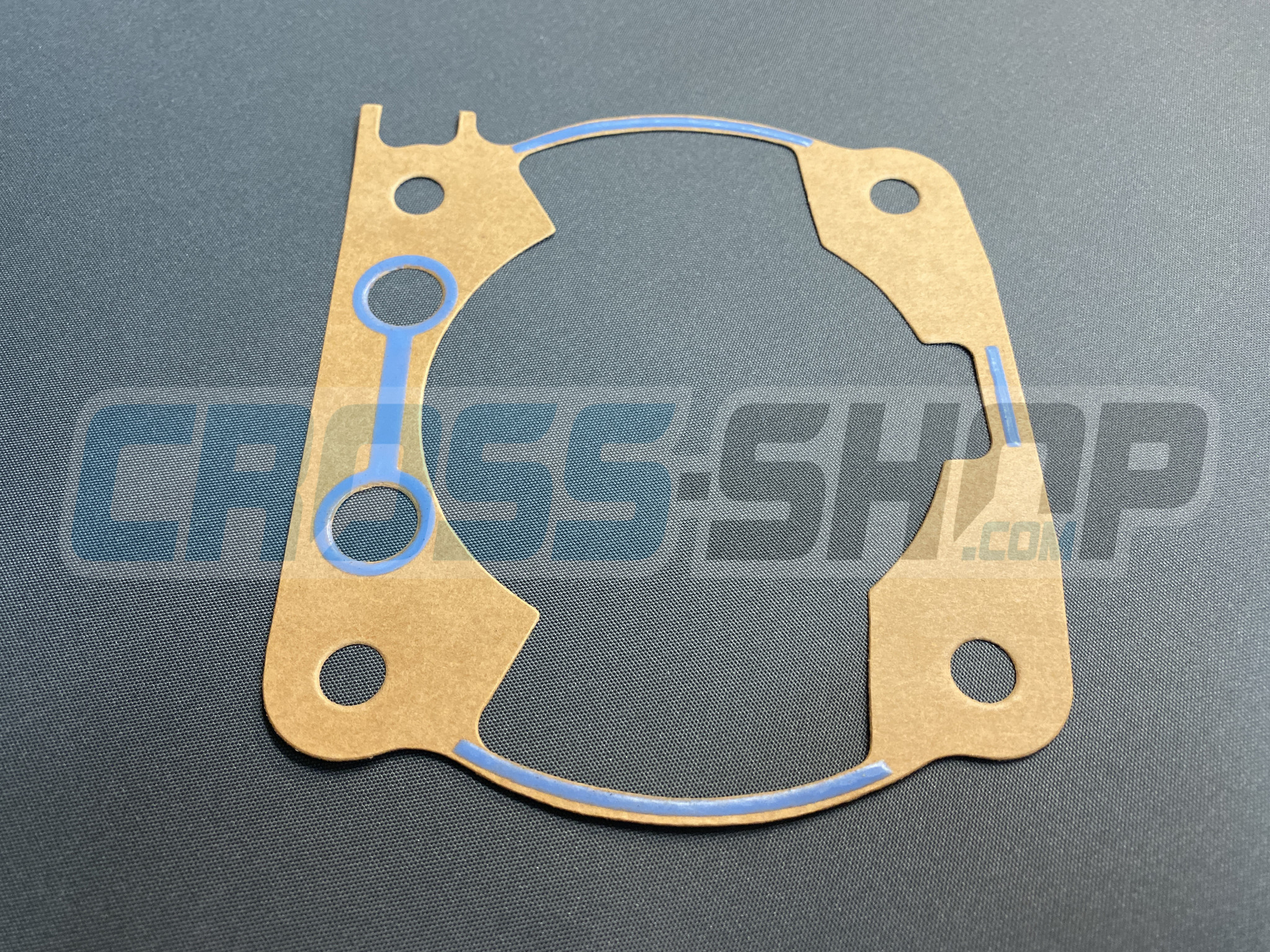 GASKET, CYL 300 M.2011    0,20