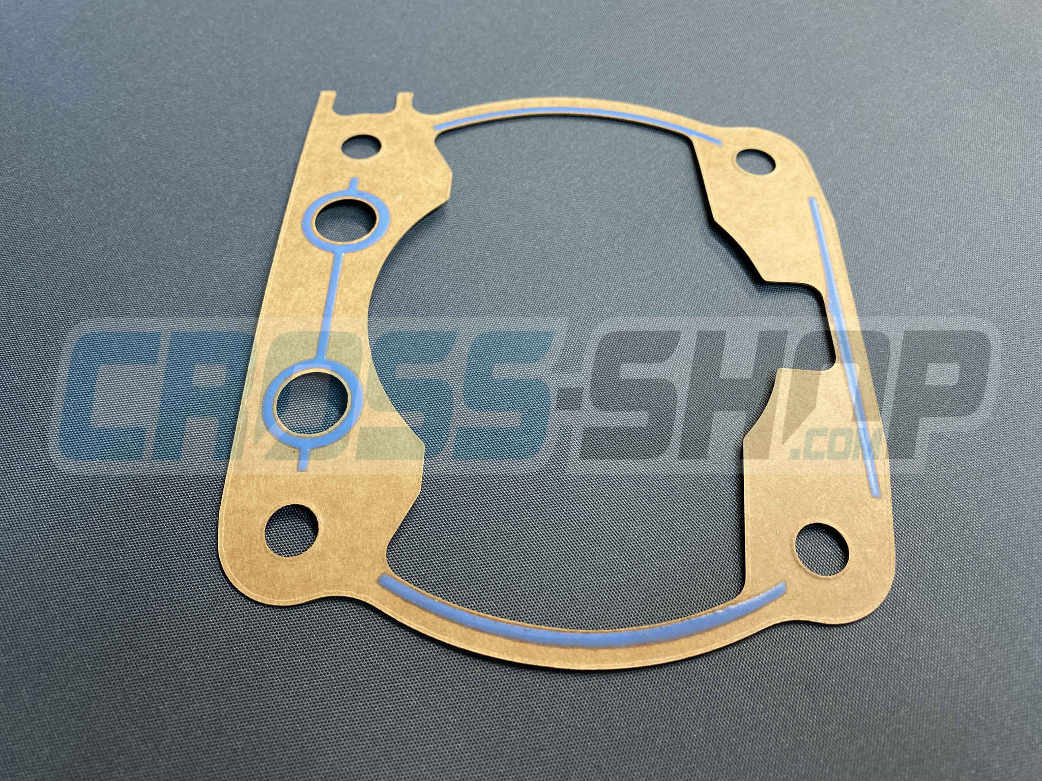 GASKET, CYL 250 M. 08/->   0,5