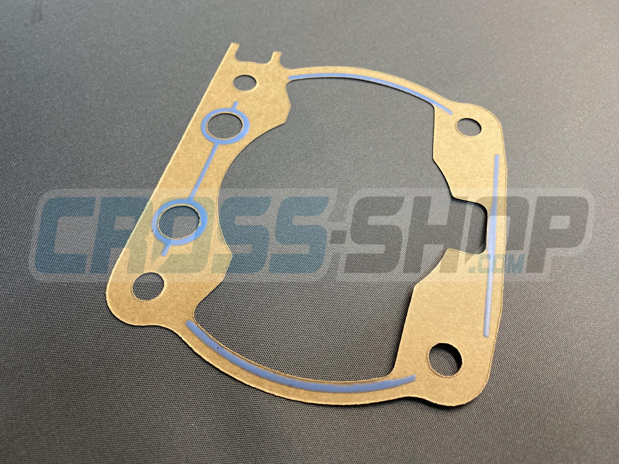 GASKET, CYL 250 M. 08/->   0,3