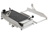 ALUMINUM RADIATOR GUARD TM 250fi (9 Canals) 2015->2021 / 300Fi 2017 ->2021